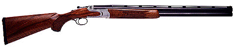 Woody.gif (11036 bytes)